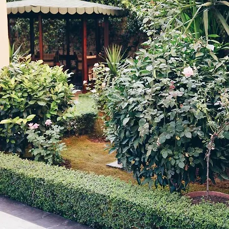 Διαμέρισμα Mono Boutique Τίρανα