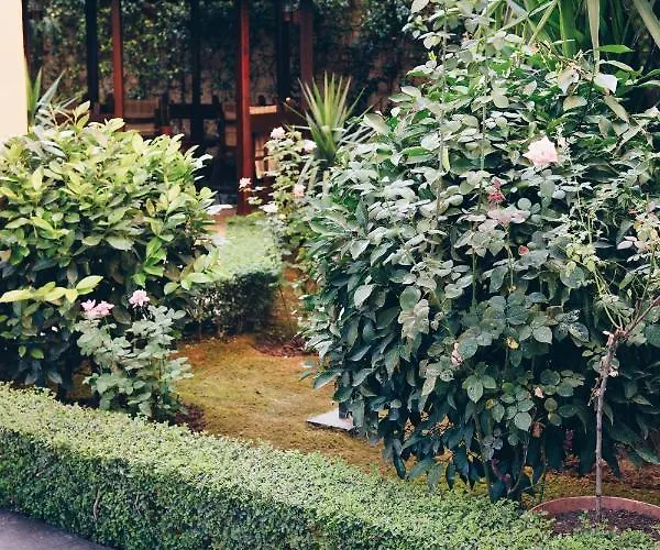 公寓 Mono Boutique 地拉那